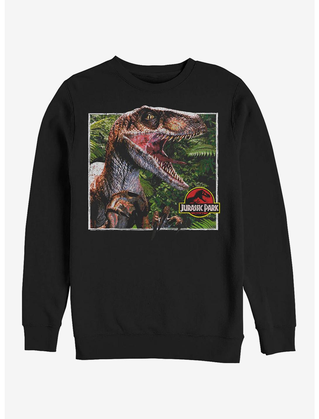Velociraptor Scene Sweatshirt, BLACK, hi-res