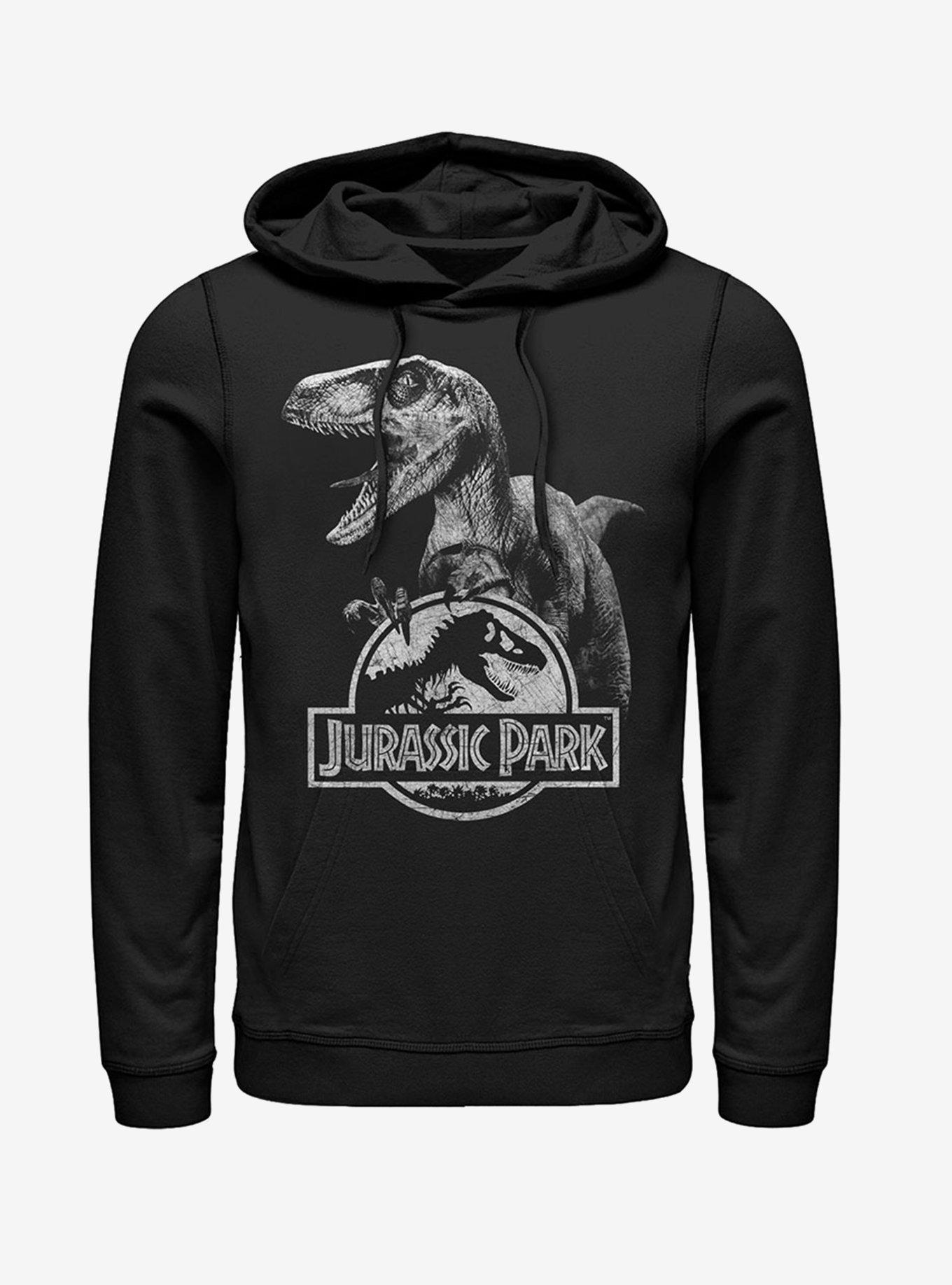 Raptor Logo Hoodie, BLACK, hi-res