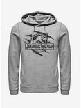 Scale Logo Claw Marks Hoodie, ATH HTR, hi-res