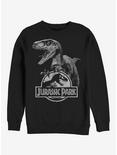 Raptor Logo Sweatshirt, BLACK, hi-res