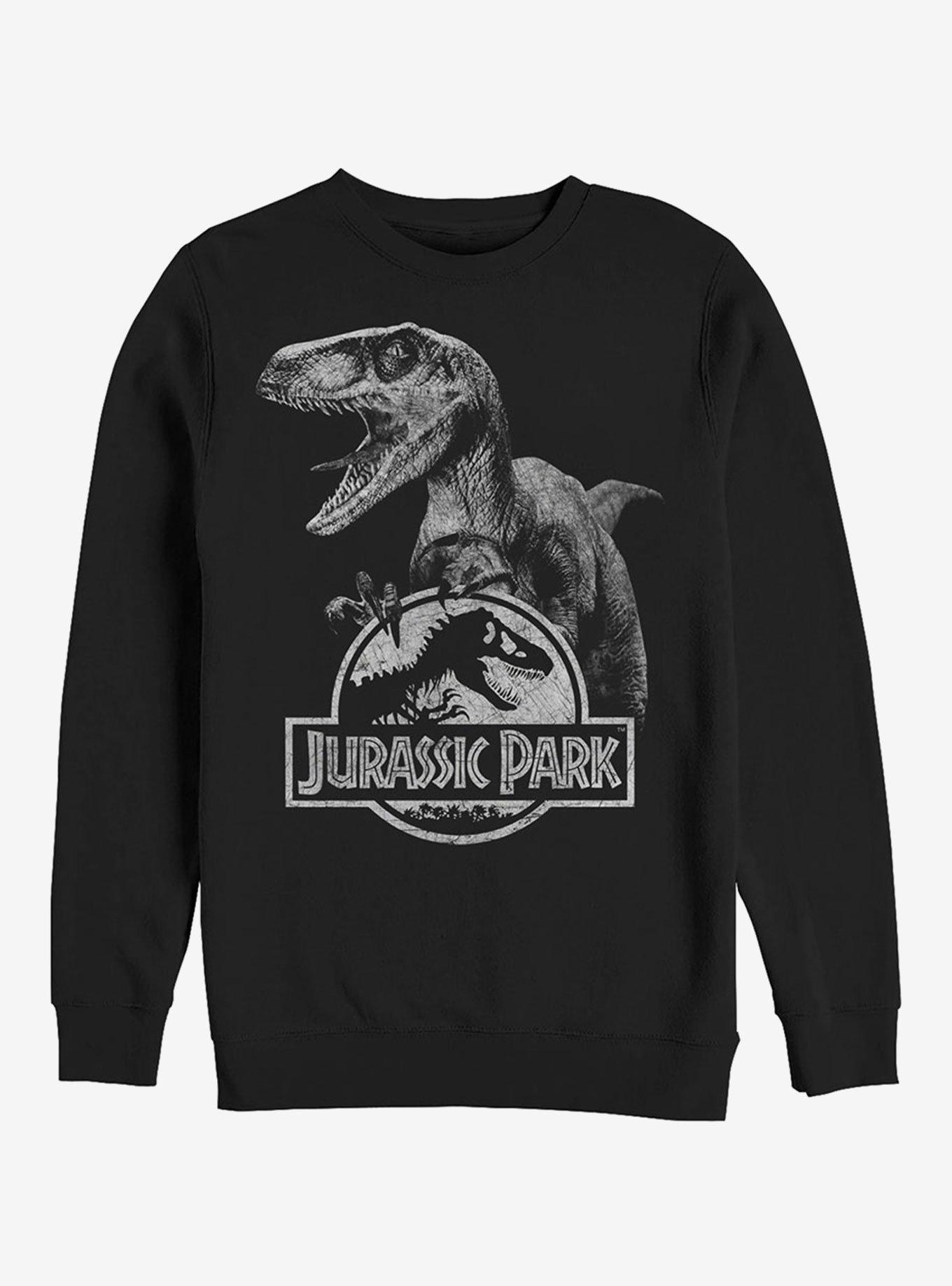 Raptor Logo Sweatshirt, BLACK, hi-res