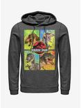 T. Rex and Velociraptor Hoodie, CHAR HTR, hi-res