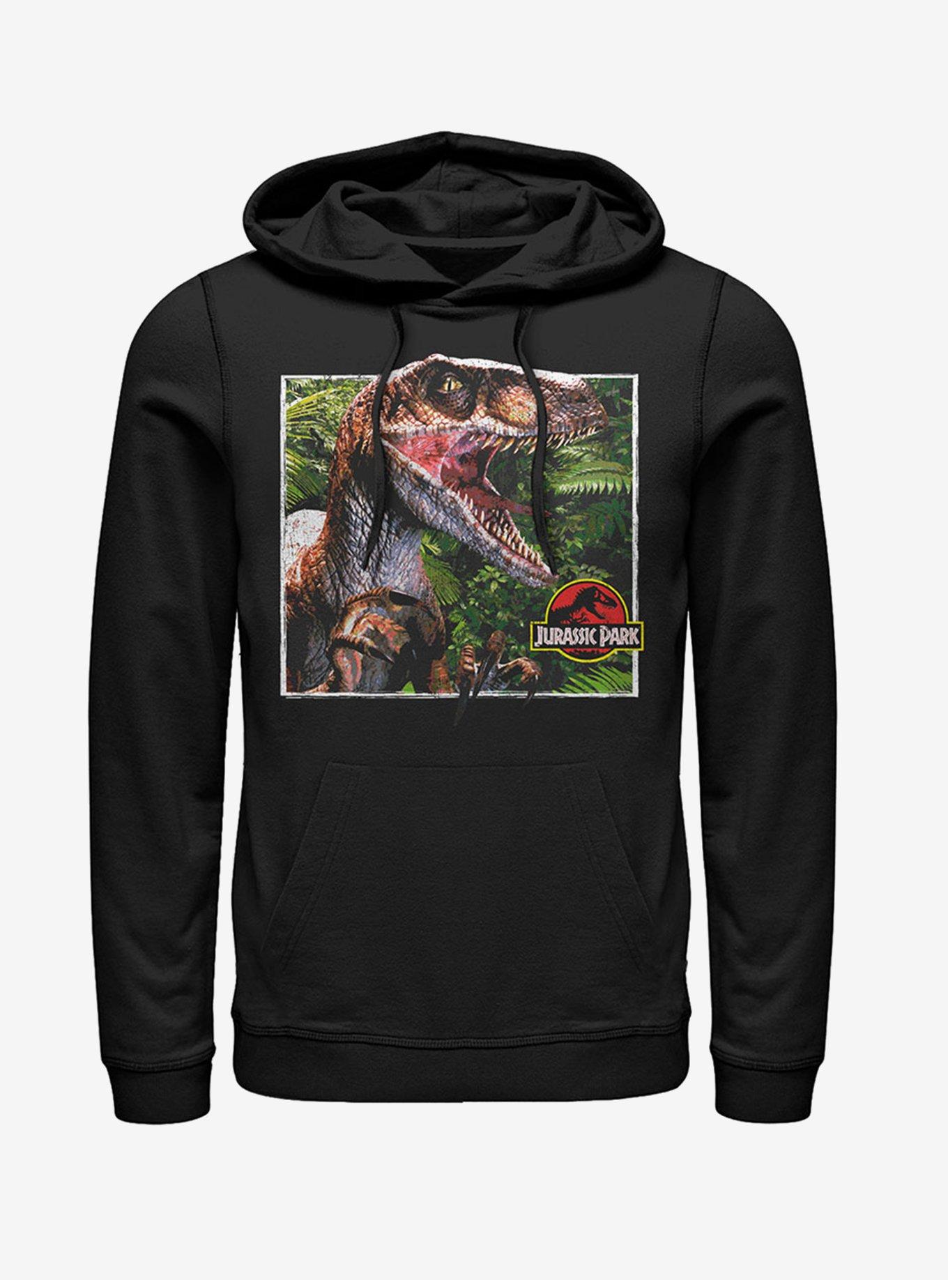 Velociraptor Scene Hoodie, BLACK, hi-res