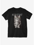 Are You Kitten Me T-Shirt, BLACK, hi-res