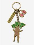 Harry Potter Herbology Class Keychain - BoxLunch Exclusive, , hi-res