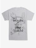 Fantastic Beasts Where To Find Them T-Shirt, LIGHT GREY, hi-res