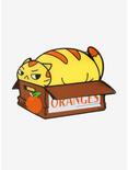 Fat Orange Cat In A Box Enamel Pin, , hi-res