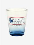 Grey's Anatomy Grey-Sloan Memorial Mini Glass - BoxLunch Exclusive, , hi-res