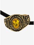 Harry Potter Hufflepuff Ring Necklace, , hi-res