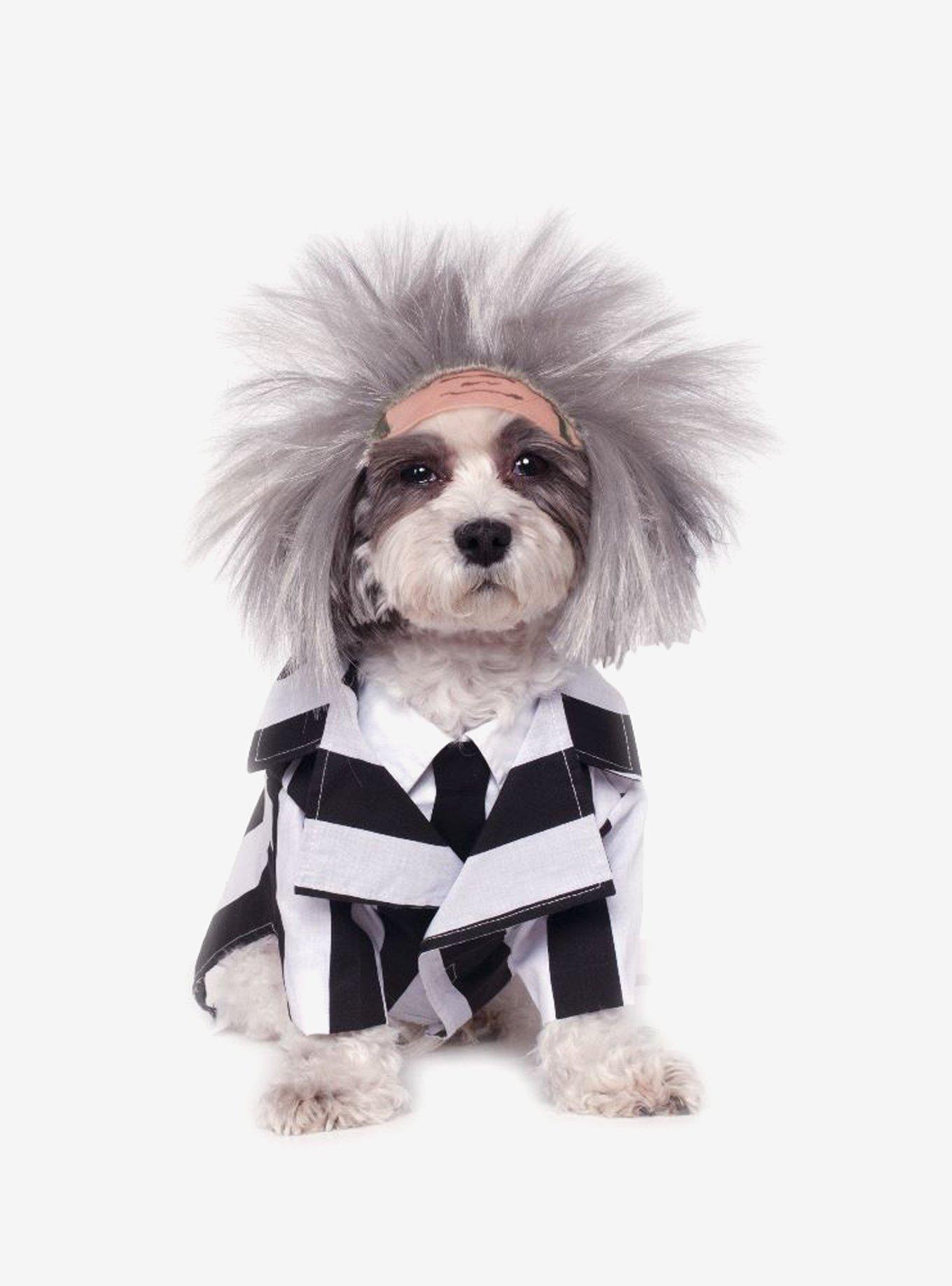 Beetlejuice Dog Costume, MULTI, hi-res