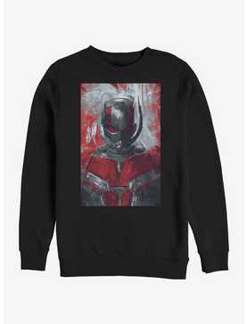 Marvel Avengers: Endgame Ant-Man Painted Sweatshirt, , hi-res