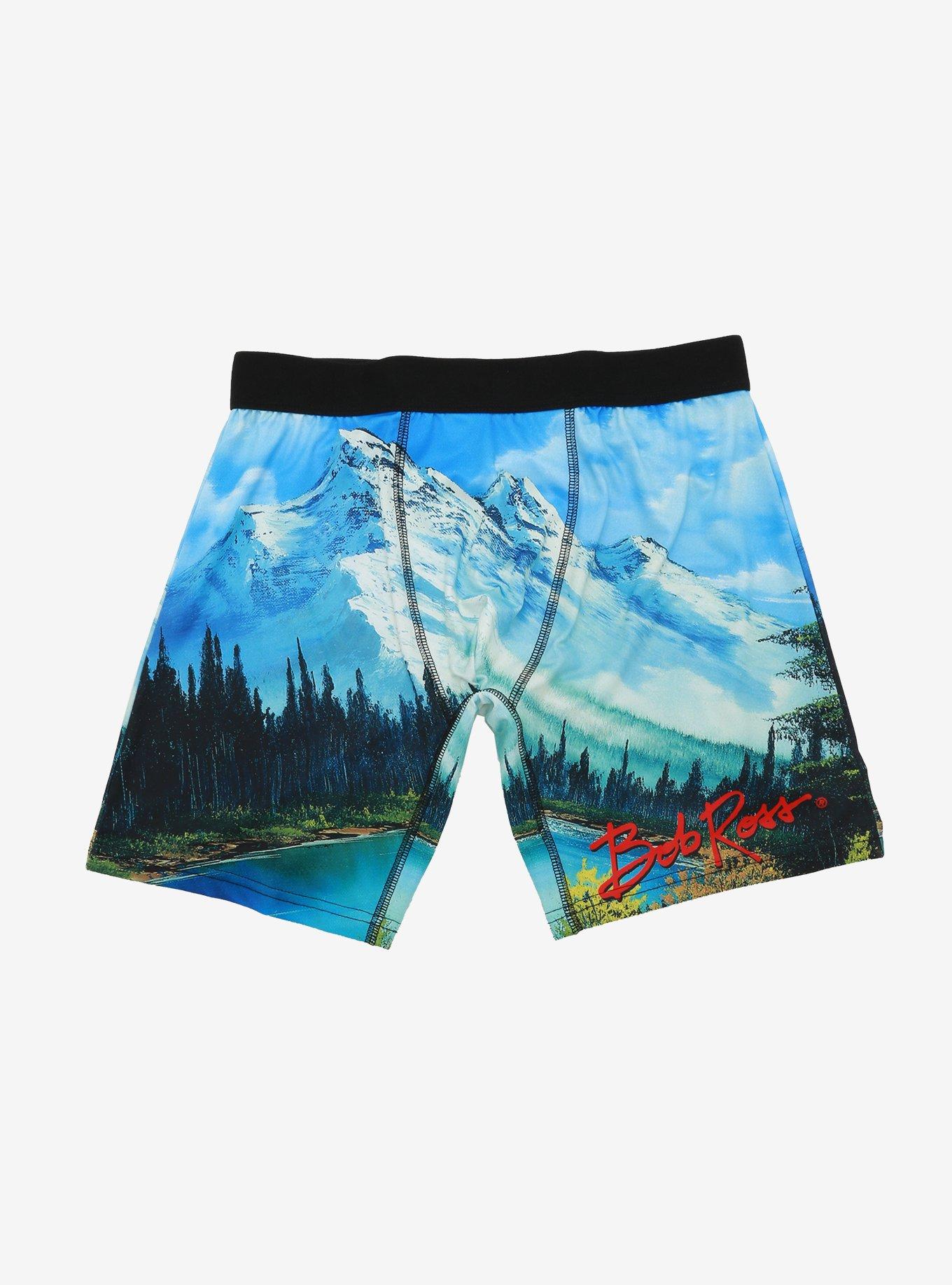 Bob Ross Painting Boxer Briefs, MULTI, hi-res