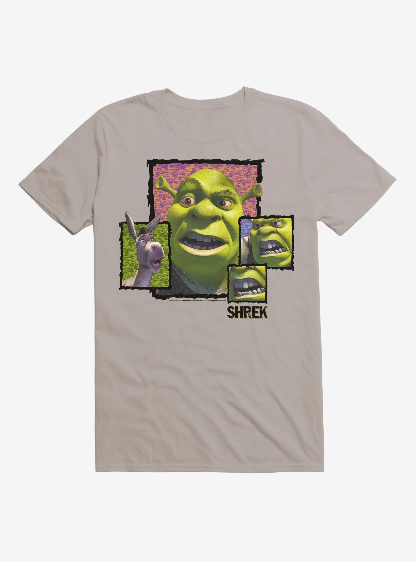 Shrek Shrek Donkey Close Up T-Shirt | BoxLunch