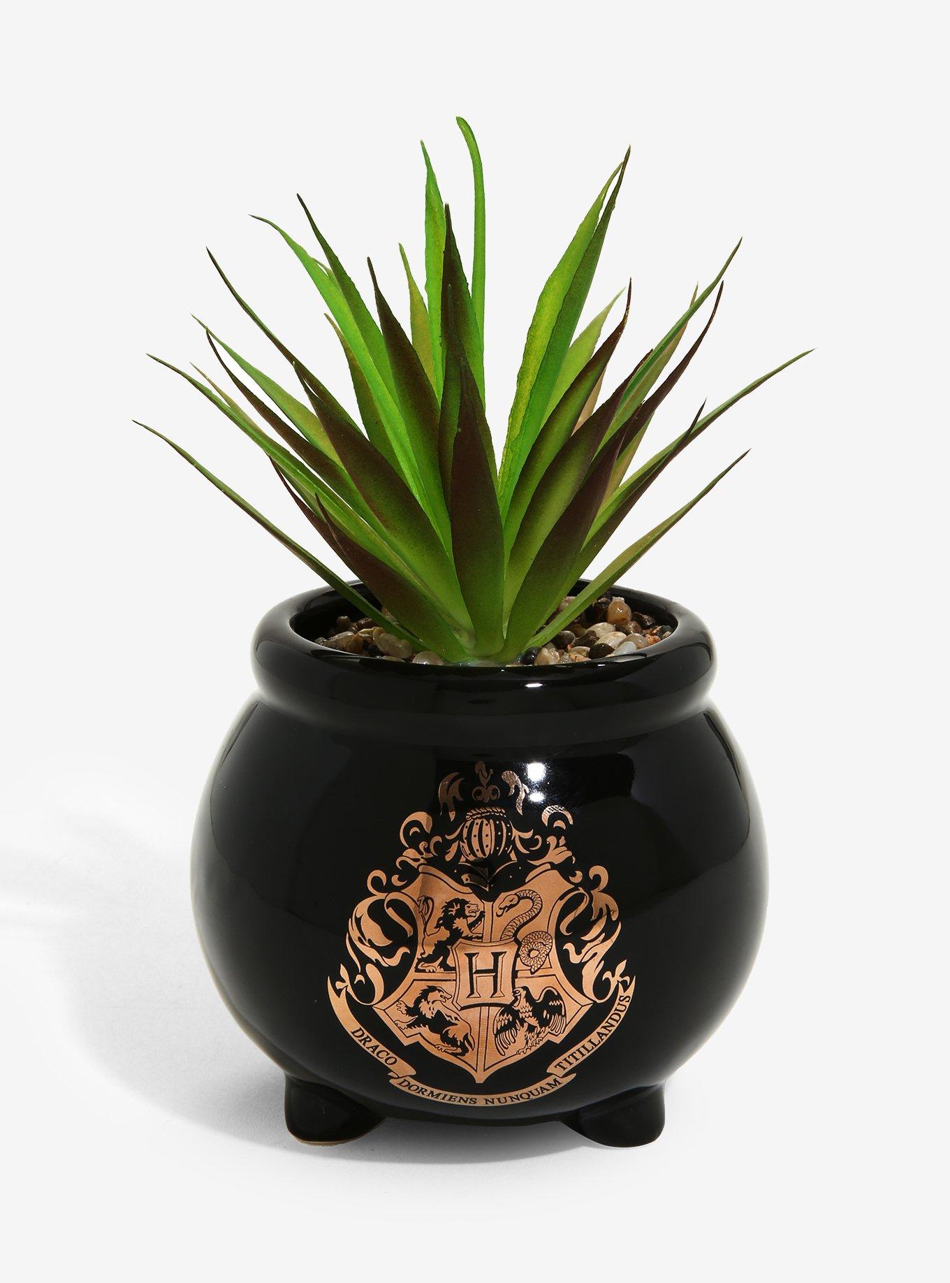 tall terrarium plants Tall Glass Terrarium With Lip & Tray On Wheels ✓ main image 1