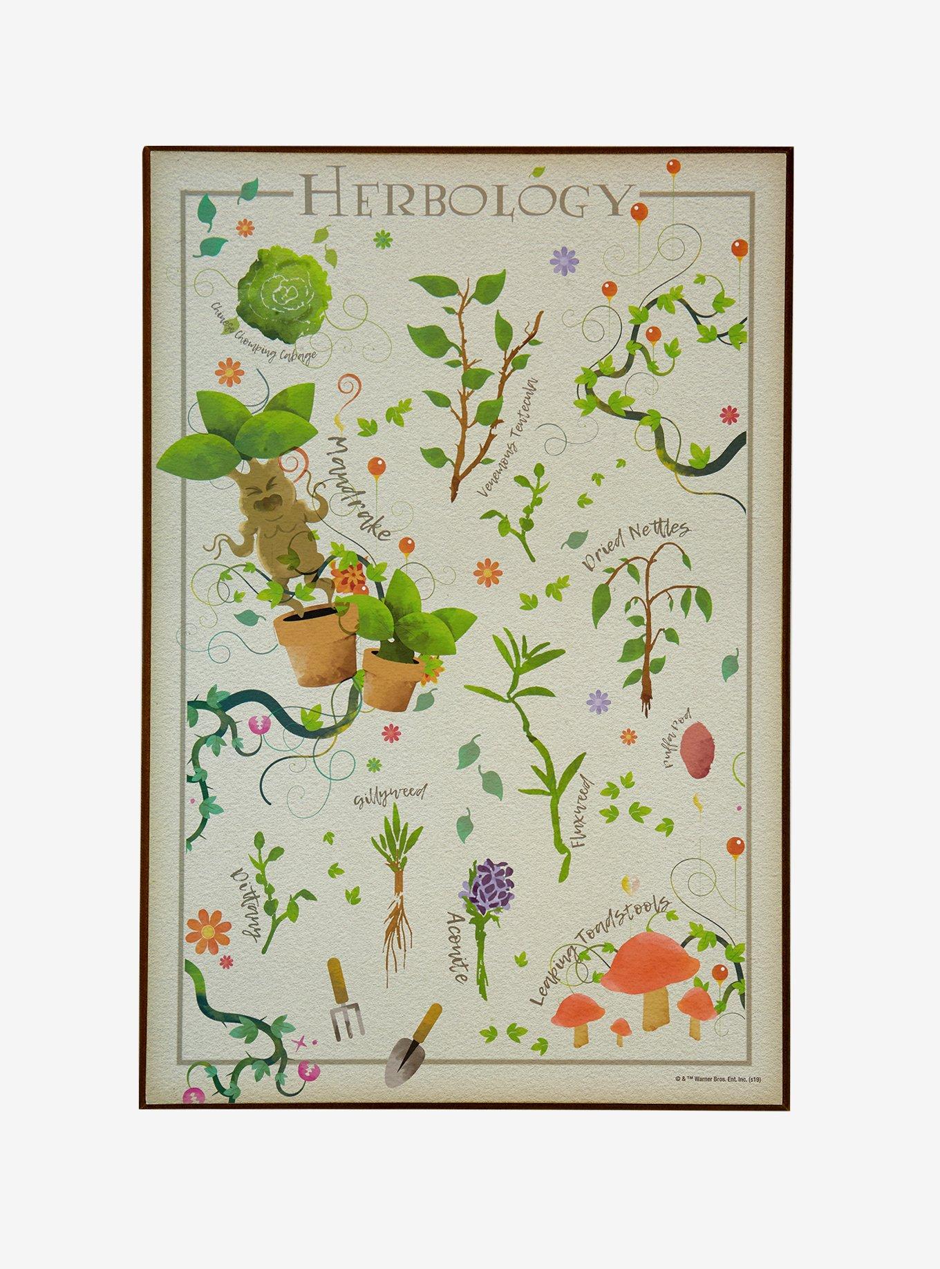 Harry Potter Herbology Wood Wall Art, , hi-res