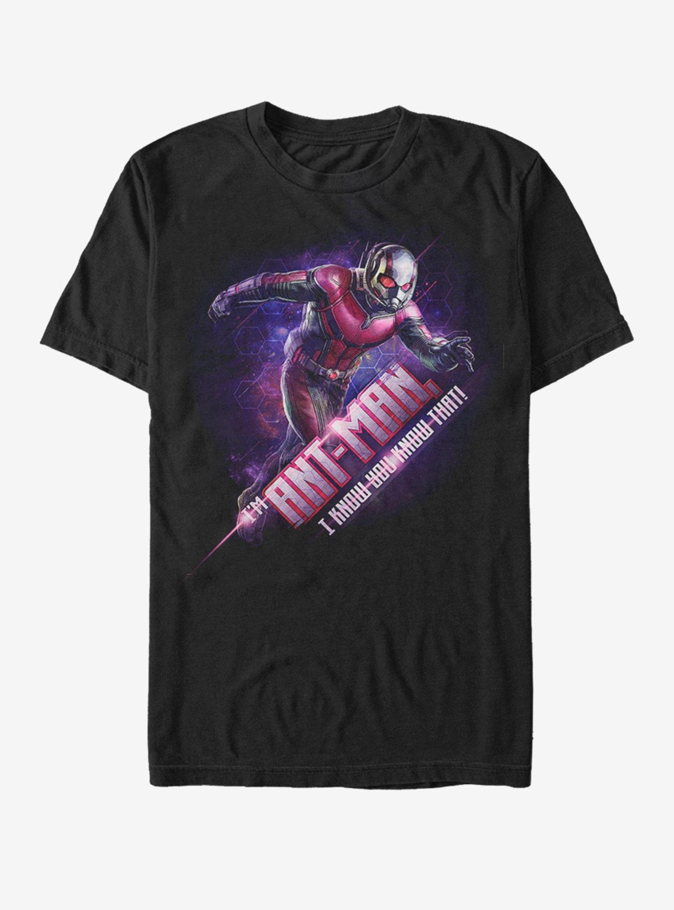Marvel Avengers: Endgame Antman Hex T-Shirt, , hi-res