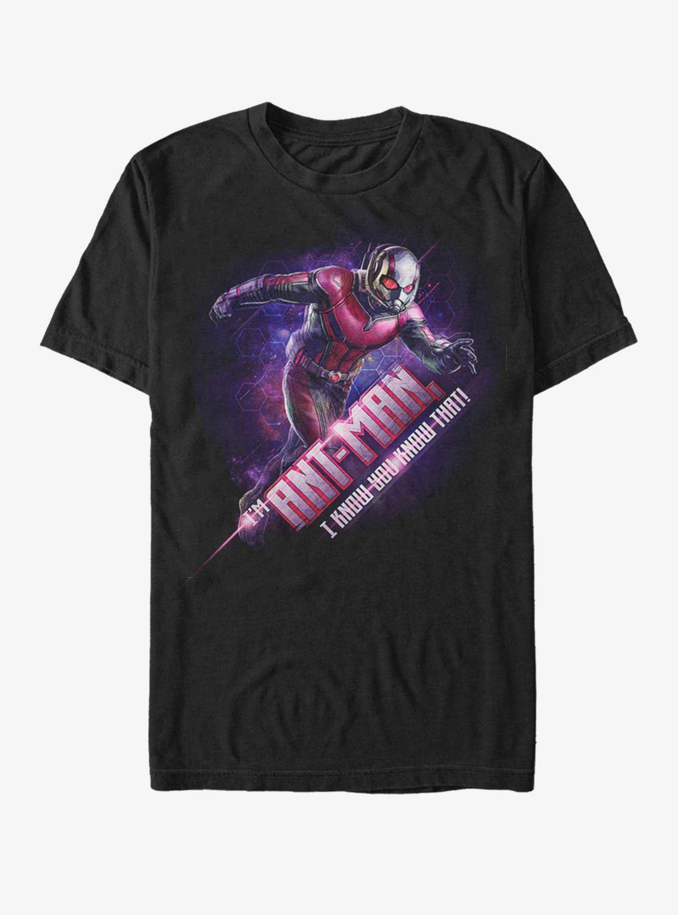Marvel Avengers: Endgame Antman Hex T-Shirt, , hi-res