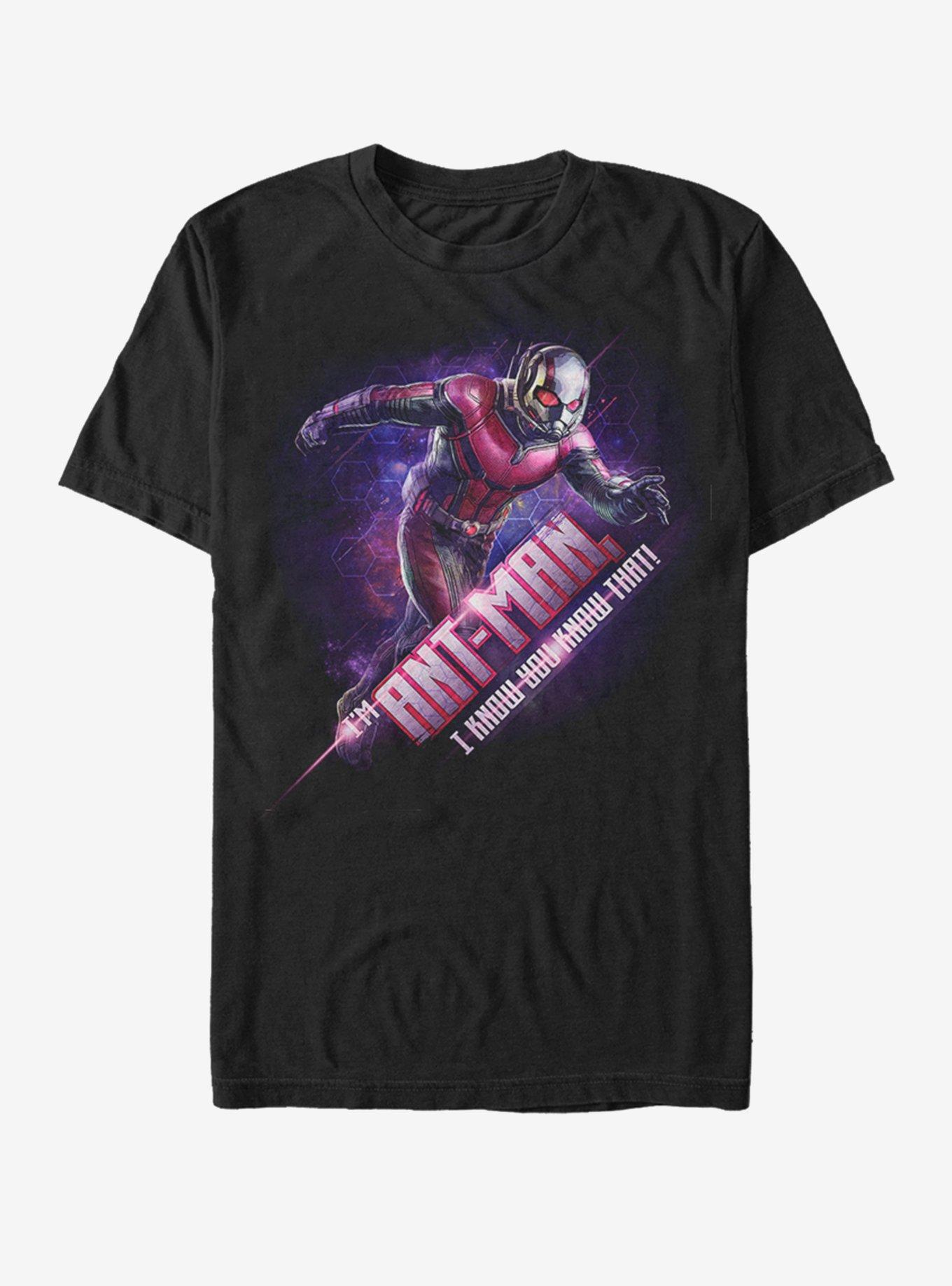 Marvel Avengers: Endgame Ant-Man Hex T-Shirt, BLACK, hi-res