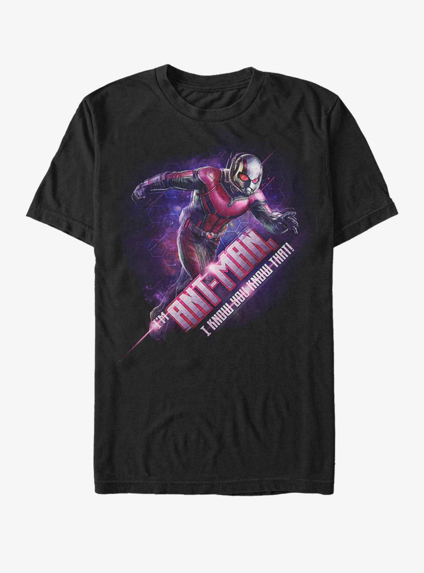 Marvel Avengers: Endgame Ant-Man Hex T-Shirt, , hi-res