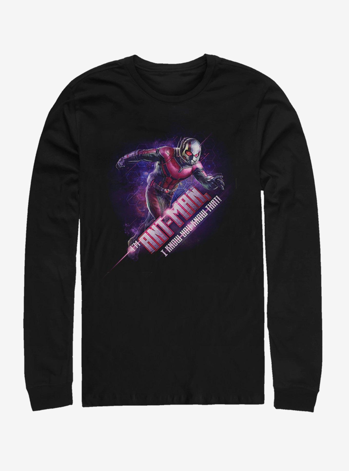 Marvel Avengers: Endgame Antman Hex Long-Sleeve T-Shirt, , hi-res