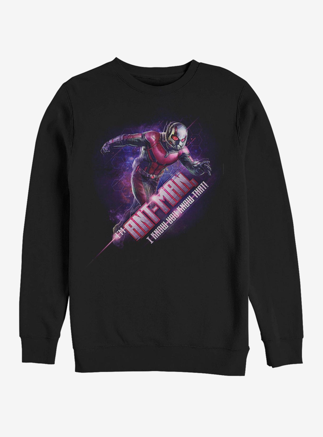Marvel Avengers: Endgame Ant-Man Hex Sweatshirt, BLACK, hi-res