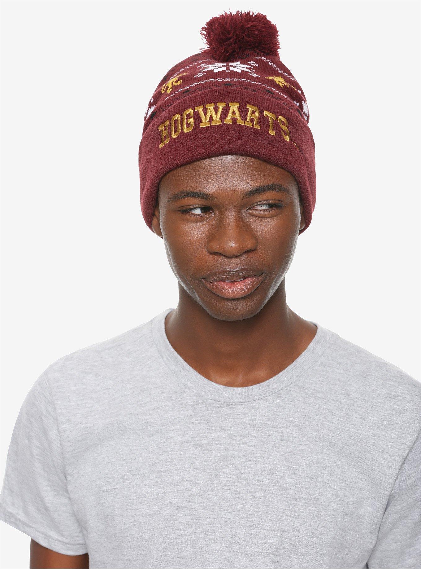 Harry Potter Hogwarts Pom Beanie, , hi-res