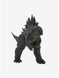 NECA Godzilla: King Of The Monsters Godzilla Action Figure, , hi-res