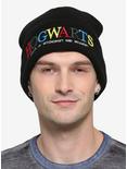 Harry Potter Hogwarts Cuff Beanie - BoxLunch Exclusive, , hi-res