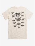 Traditional Moth Flash Sheet T-Shirt, CREAM, hi-res