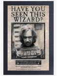 Harry Potter Sirius Black Wanted Poster, , hi-res