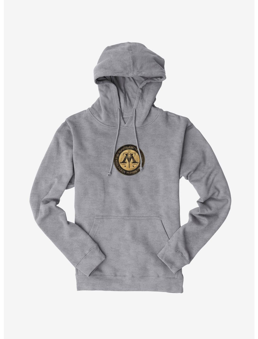 Harry Potter Ministry Icon Hoodie, , hi-res