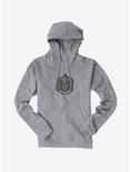 Harry Potter Slytherin Coat Of Arms Hoodie, , hi-res