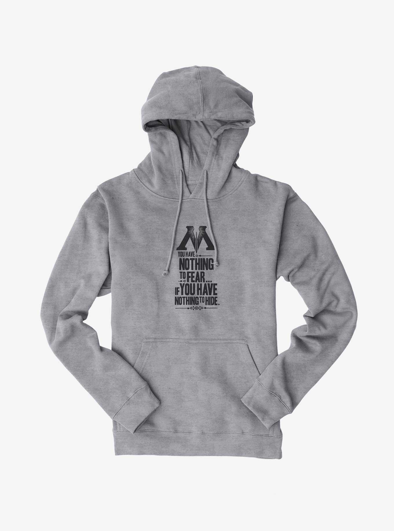 Harry Potter Nothing To Fear Nothing To Hide Hoodie, , hi-res