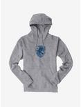 Harry Potter Ravenclaw Checkered Shield Hoodie, , hi-res