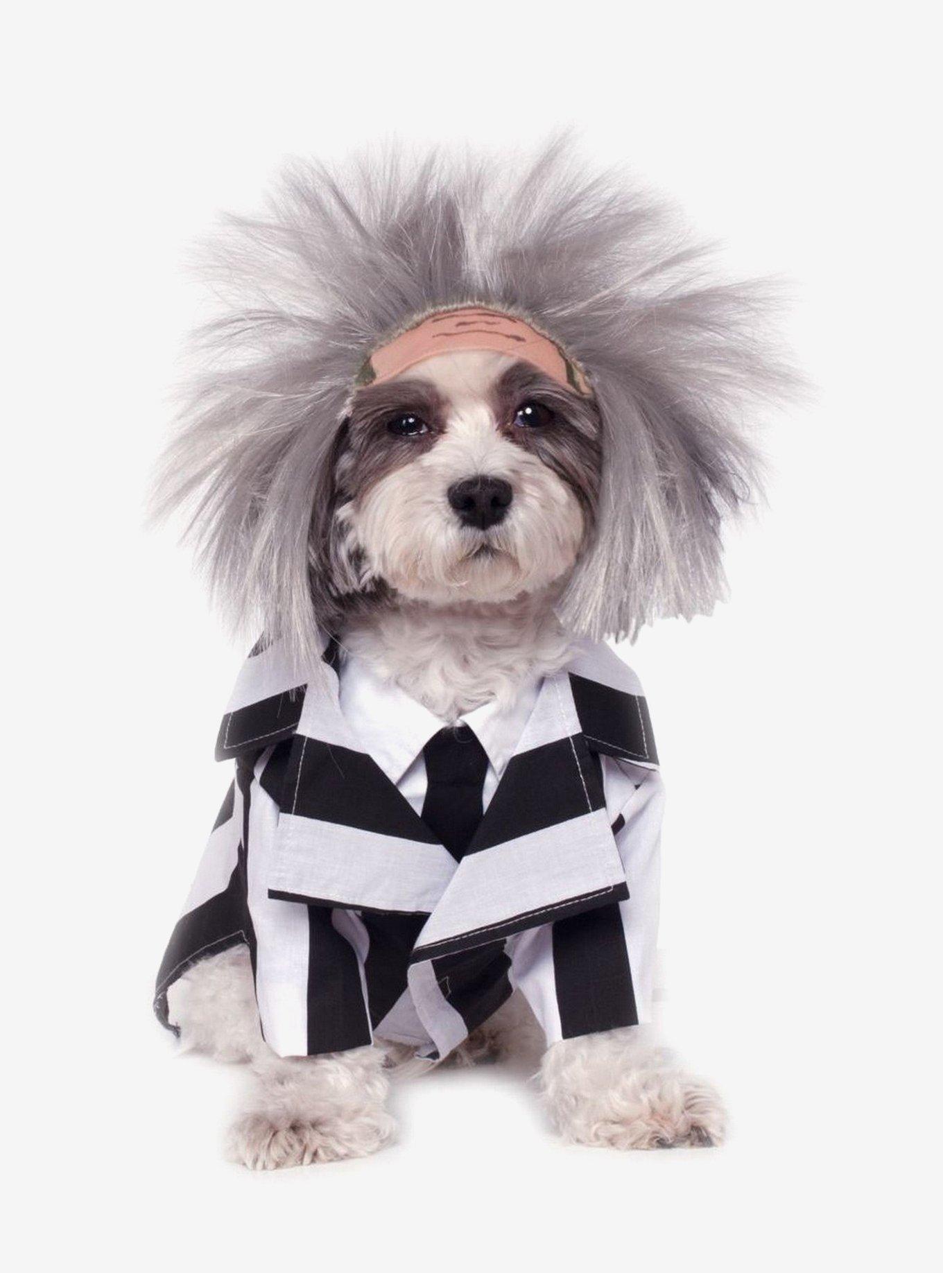 Beetlejuice Pet Costume, , hi-res