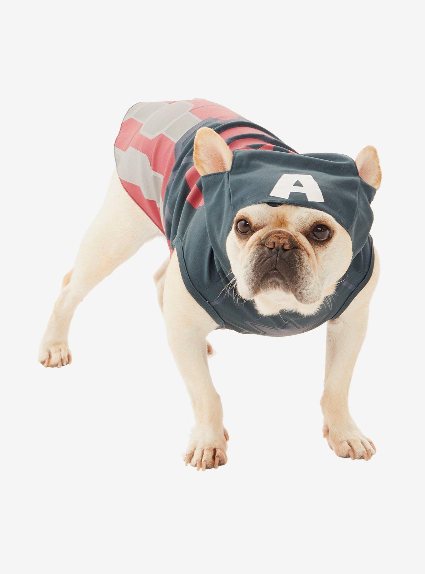 Marvel Captain America Pet Hoodie, MULTI, hi-res