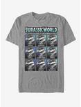 Jurassic World Expressions T-Shirt, DRKGRY HTR, hi-res