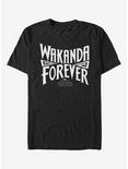 Marvel Black Panther Wakanda Power T-Shirt, BLACK, hi-res