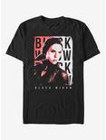 Marvel Black Widow T-Shirt, BLACK, hi-res