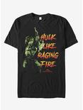 Marvel Hulk Raging Fire T-Shirt, BLACK, hi-res