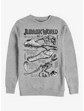 Jurassic Park Bones Brigade Sweatshirt, , hi-res