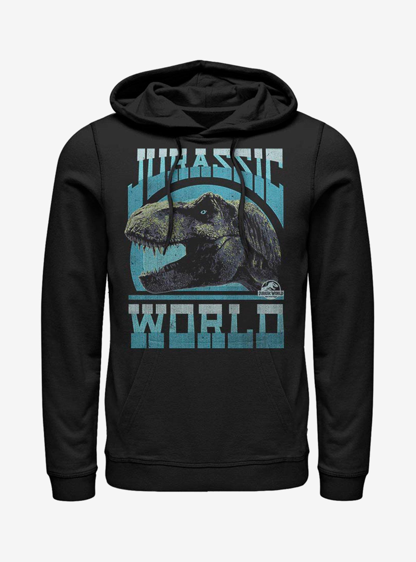 Jurassic Park Old Teeth Hoodie, BLACK, hi-res