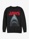Jaws Out Of Water Sweatshirt, BLACK, hi-res