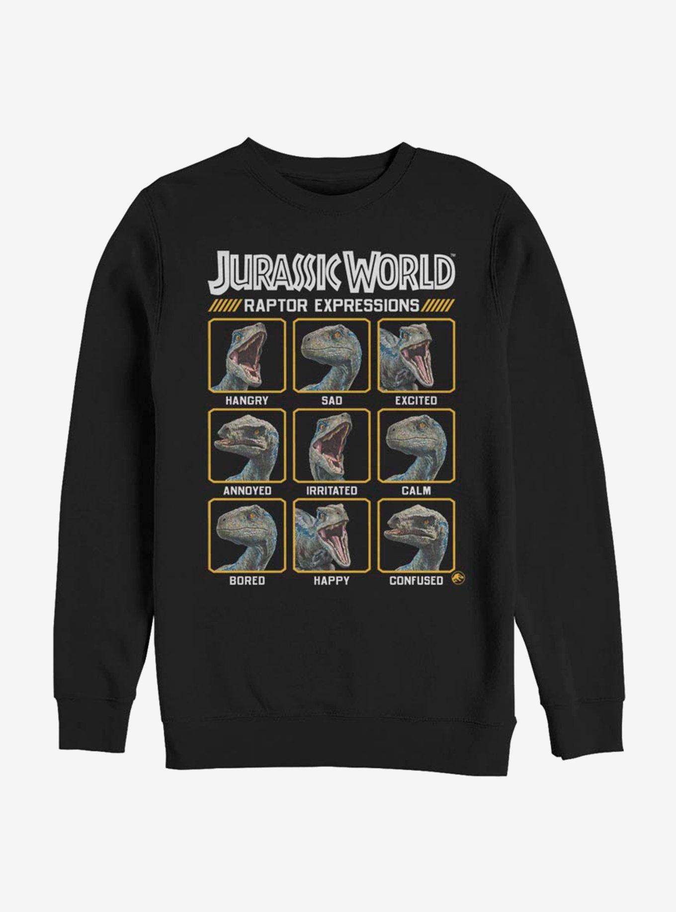 Jurassic World Expressions of Raptor Sweatshirt, BLACK, hi-res