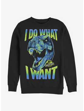 Jurassic Park What I Want Sweatshirt, , hi-res