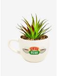 Friends Faux Succulent Central Perk Mug Planter, , hi-res