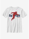Marvel Antman Text Pop Antman Youth T-Shirt, WHITE, hi-res