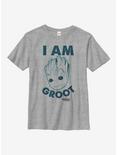 Marvel Guardians Of The Galaxy I Am Groot Youth T-Shirt, ATH HTR, hi-res