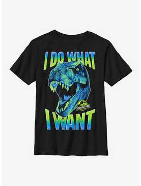 Jurassic Park What I Want Youth T-Shirt, , hi-res