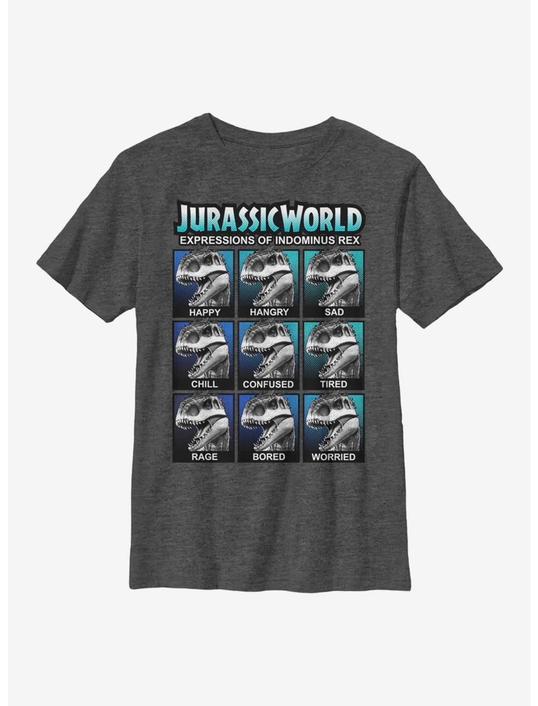 Jurassic World Expressions Youth T-Shirt, CHAR HTR, hi-res